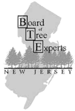 Board of tree expert